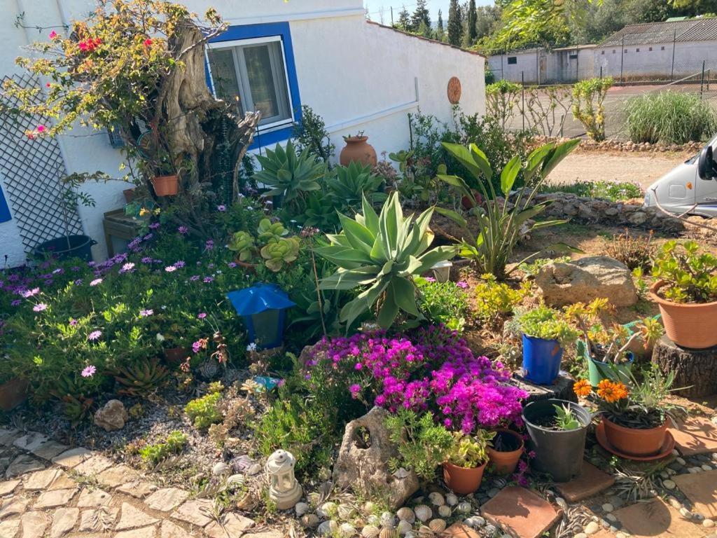 Casa Joy Villa Guia  Eksteriør billede